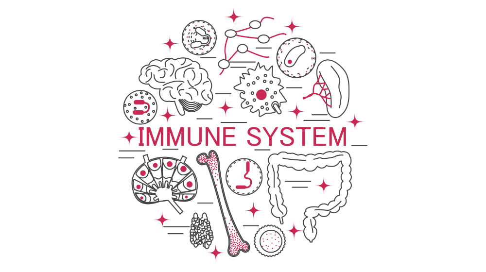 9 věcí, které oslabují imunitní systém